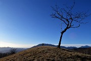 91 Svettano nel cielo i rami spogli